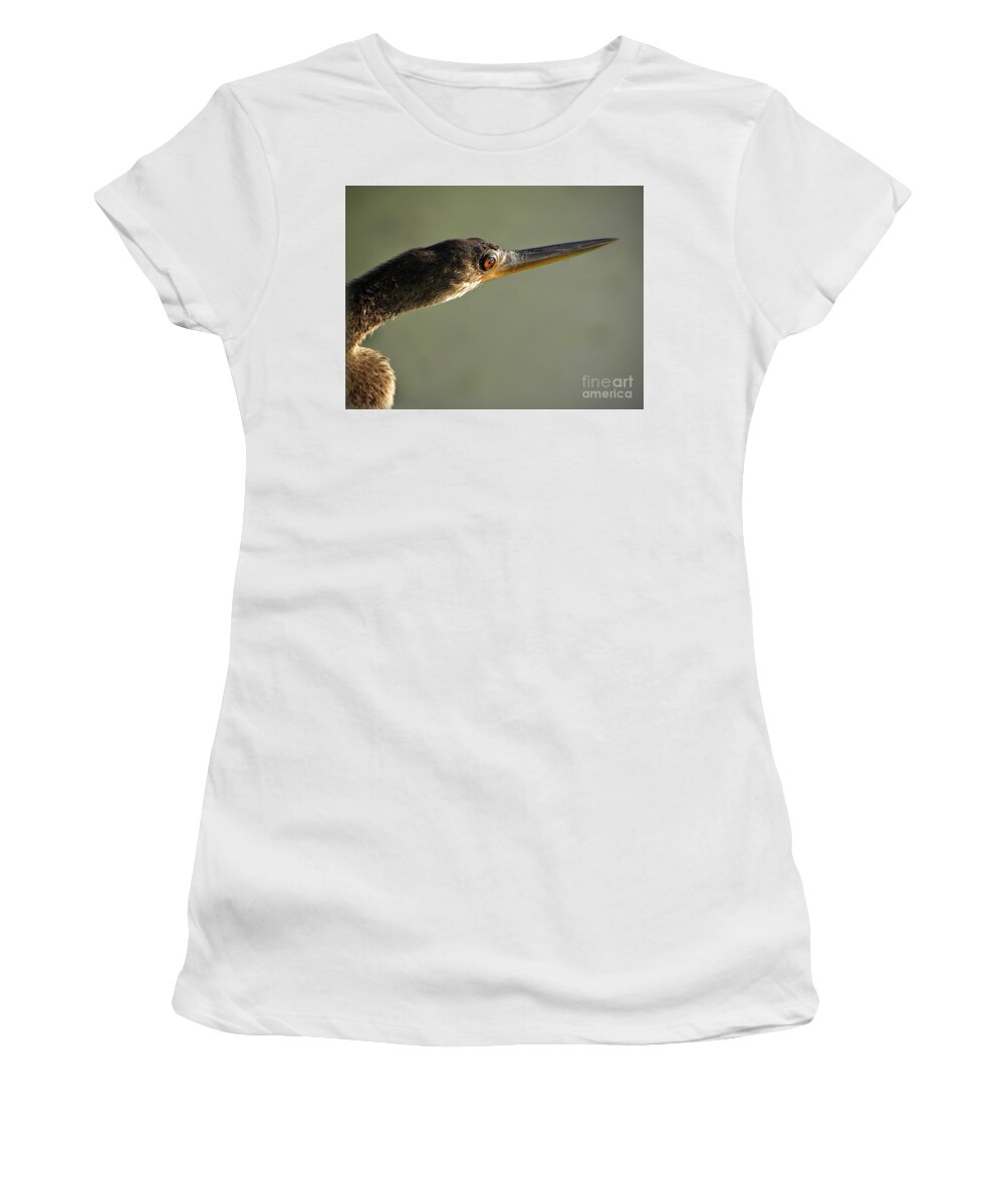 Wading Birds Women's T-Shirt featuring the photograph Anhinga #3 by Savannah Gibbs