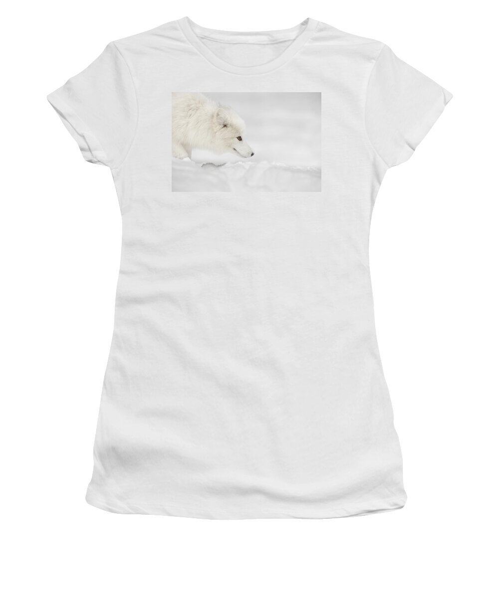 Arctic Circle Women's T-Shirt featuring the photograph Arctic Fox #1 by Andy Astbury
