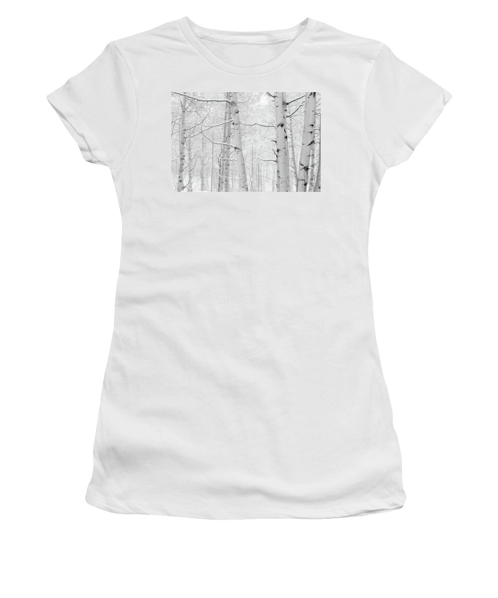 Photography Women's T-Shirt featuring the photograph Autumn Aspens With Snow, Colorado, Usa #1 by Panoramic Images