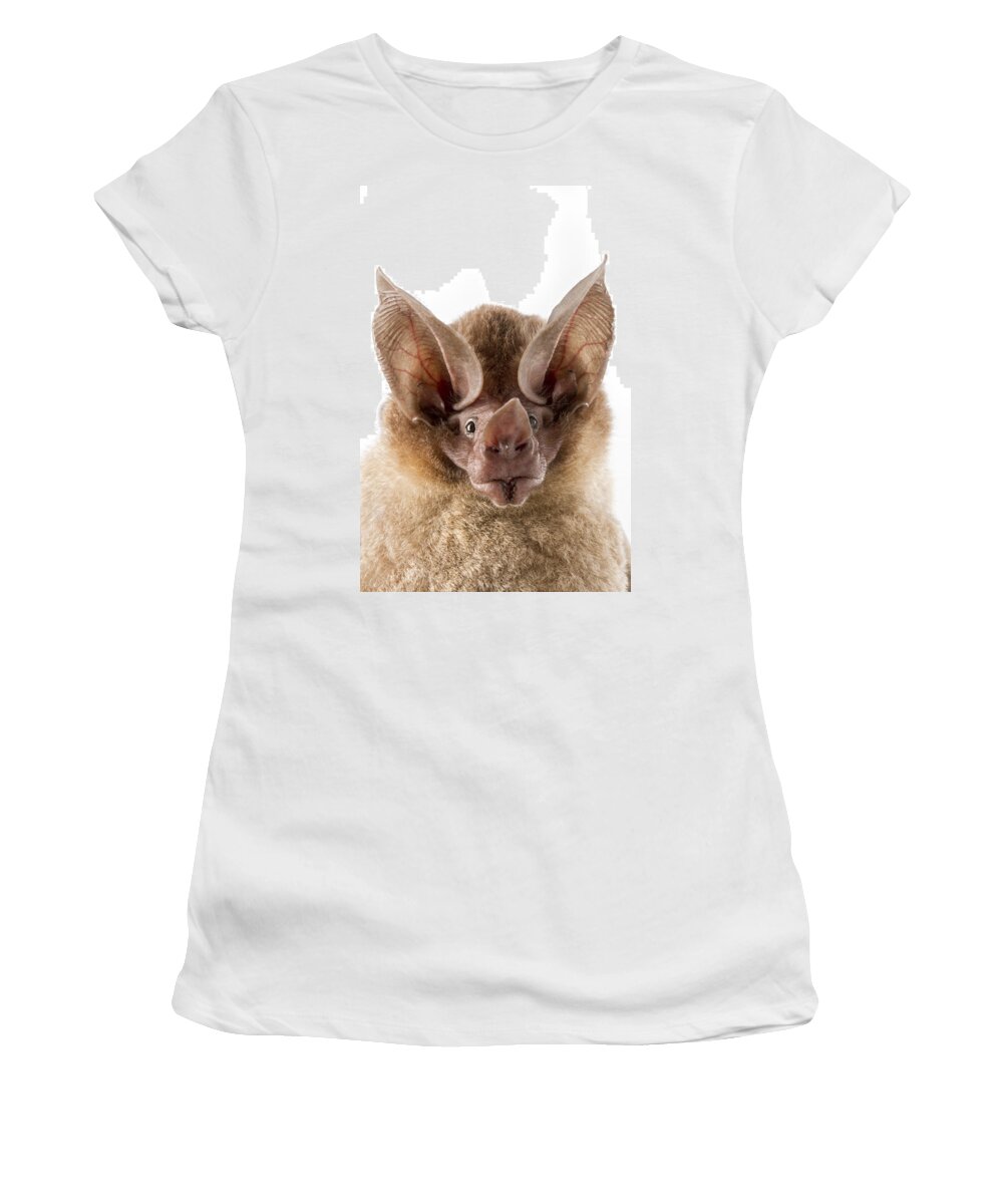 Feb0514 Women's T-Shirt featuring the photograph Dorbignys Round-eared Bat Suriname #1 by Piotr Naskrecki