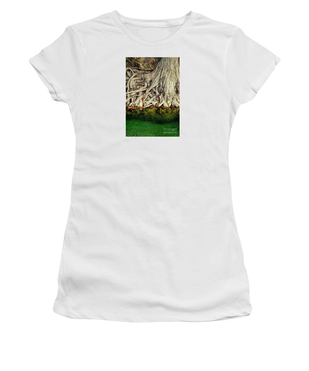 Cypress Tree Print Women's T-Shirt featuring the photograph Long Slow Drink by Joe Pratt