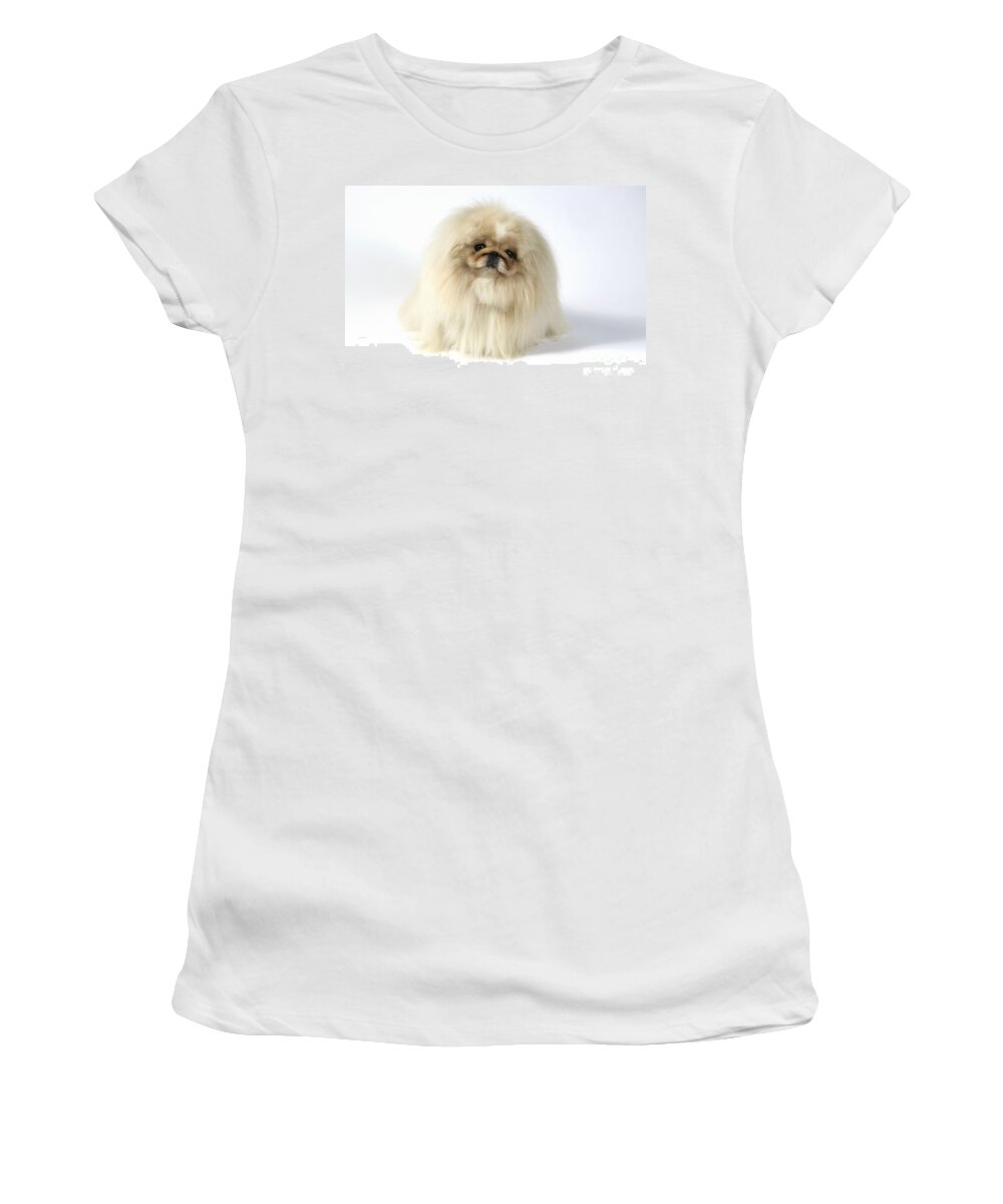 Dog Women's T-Shirt featuring the photograph Pekingese Dog #1 by John Daniels