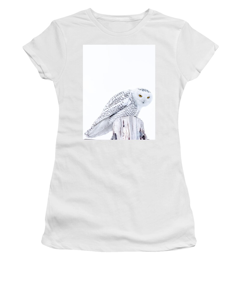 Snowy Women's T-Shirt featuring the photograph Piercing Eyes by Cheryl Baxter