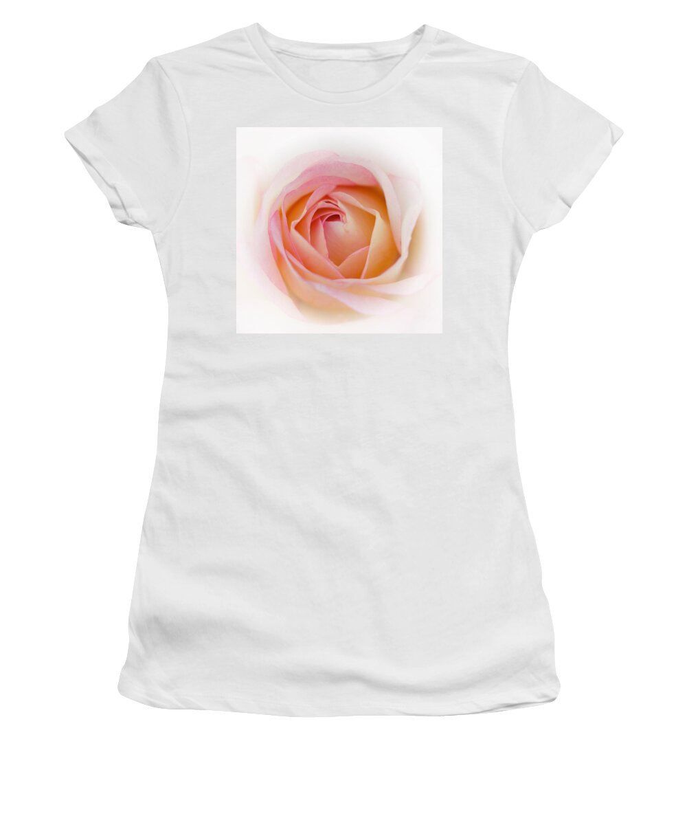 Anniversary Women's T-Shirt featuring the photograph Pink Rose #1 by TouTouke A Y