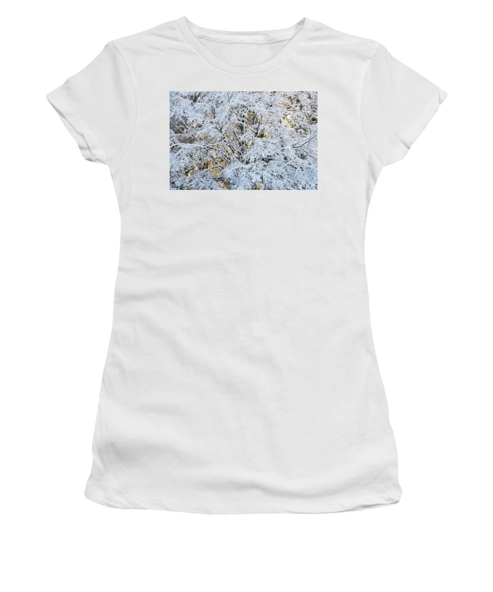 Winter Women's T-Shirt featuring the photograph Snow covered trees #1 by Chevy Fleet