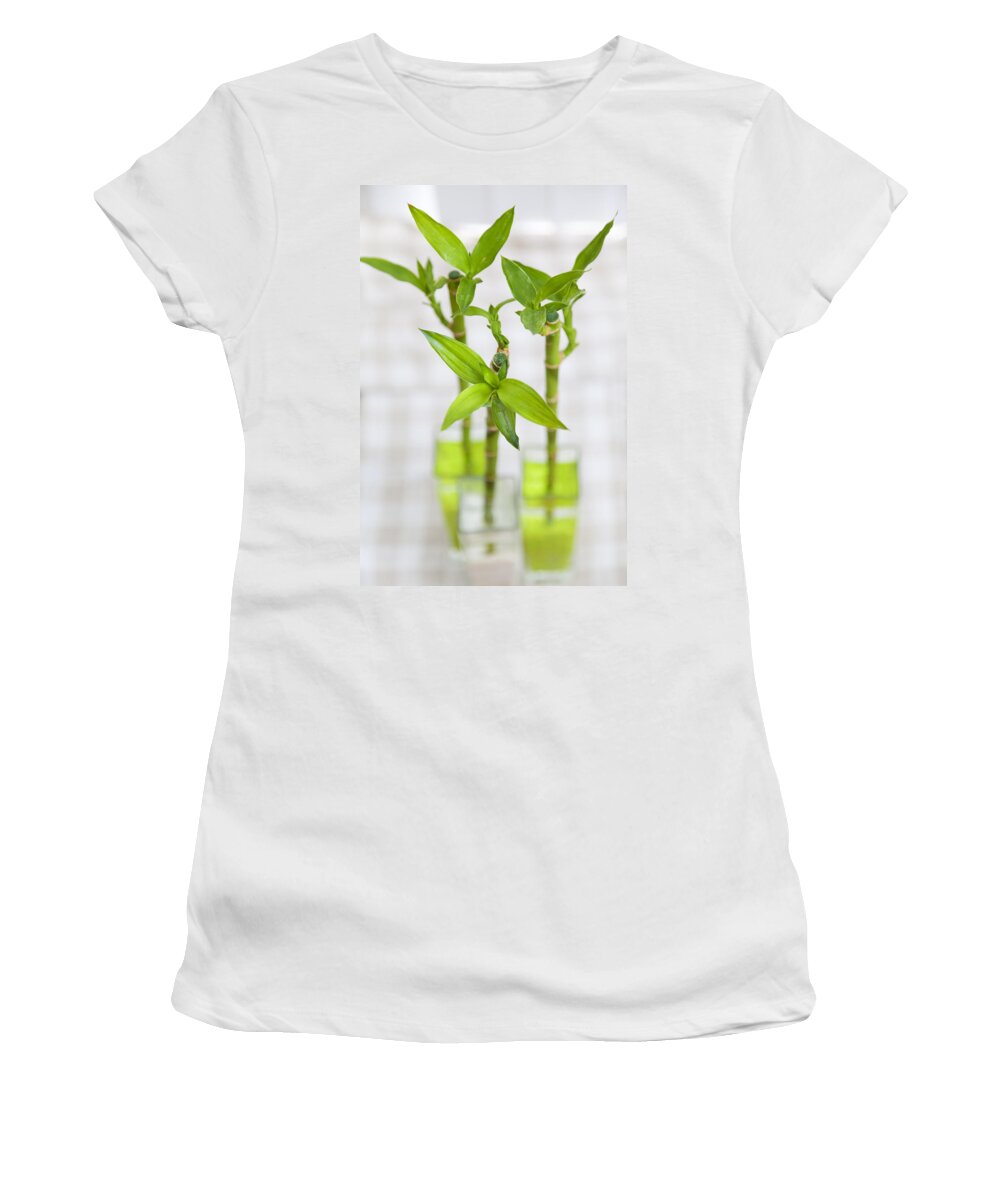 Bamboo Women's T-Shirt featuring the photograph Lucky bamboo by Alexey Stiop
