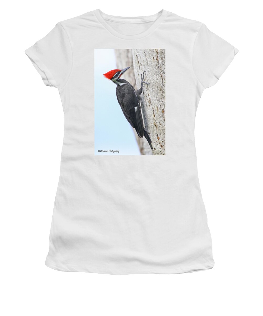 Pileated Woodpecker Women's T-Shirt featuring the photograph Pileated Woodpecker #2 by Barbara Bowen