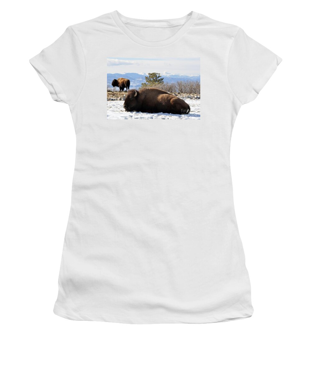 Buffalo Women's T-Shirt featuring the photograph 302 by Anjanette Douglas