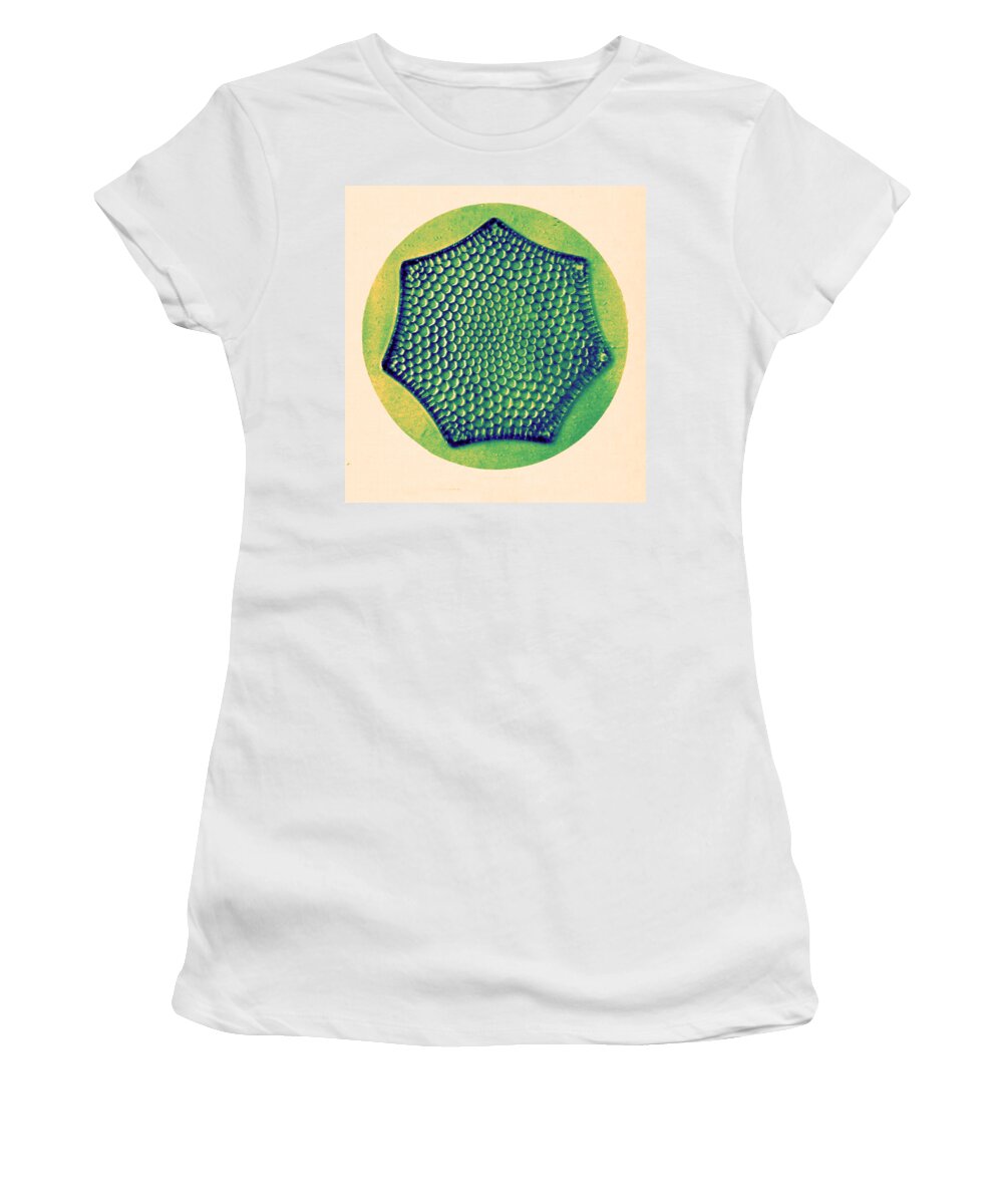 History Women's T-Shirt featuring the photograph Diatom, Triceratium Favus, Early #6 by Science Source