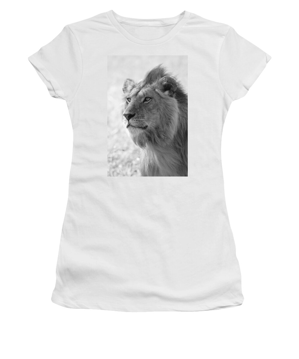 Lion Women's T-Shirt featuring the photograph Golden Boy by Michele Burgess
