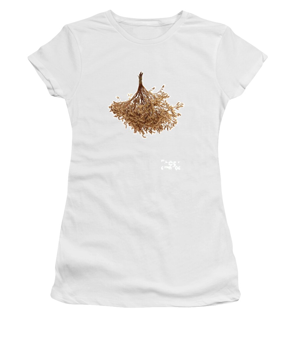 Flower Women's T-Shirt featuring the photograph Hanging Dried Flowers Bunch #6 by Olivier Le Queinec