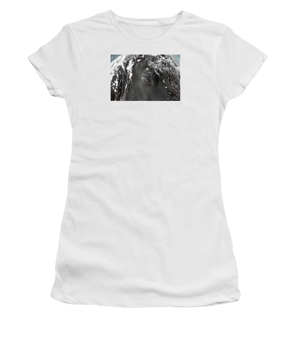 Horses Women's T-Shirt featuring the photograph A few of my favorite things by Fran J Scott