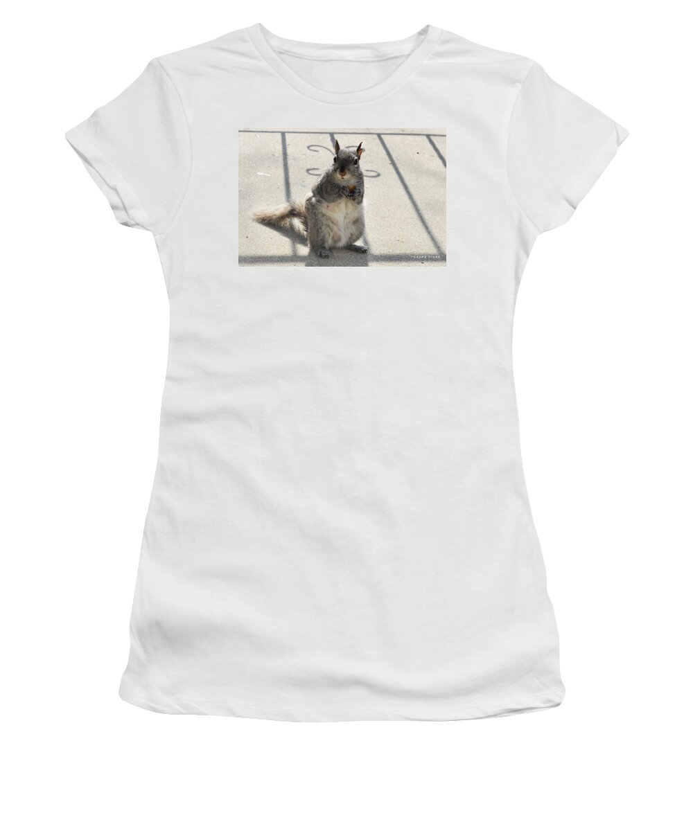 Squirrel Women's T-Shirt featuring the photograph A Squirrel known as Chippy by Verana Stark