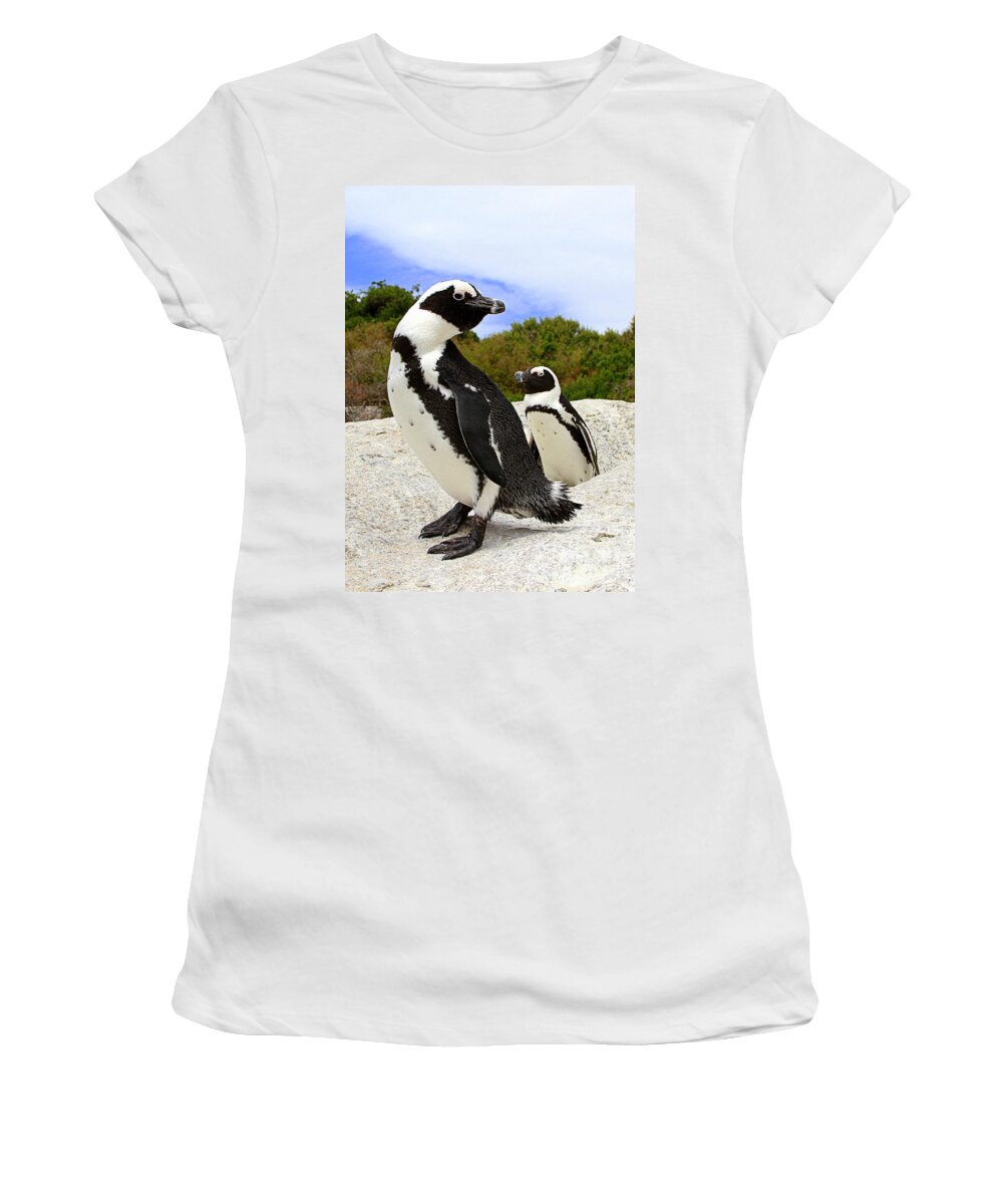 Penguins Women's T-Shirt featuring the photograph African Penguins at Boulders Beach by Catherine Sherman