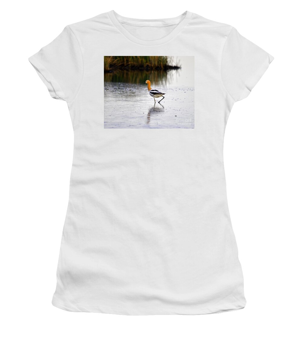 Wading Bird Women's T-Shirt featuring the photograph American Avocet by Al Powell Photography USA