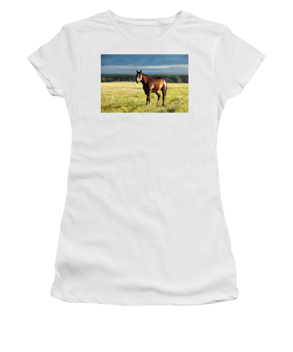 Horse Women's T-Shirt featuring the photograph American Quarter Horse by Todd Klassy