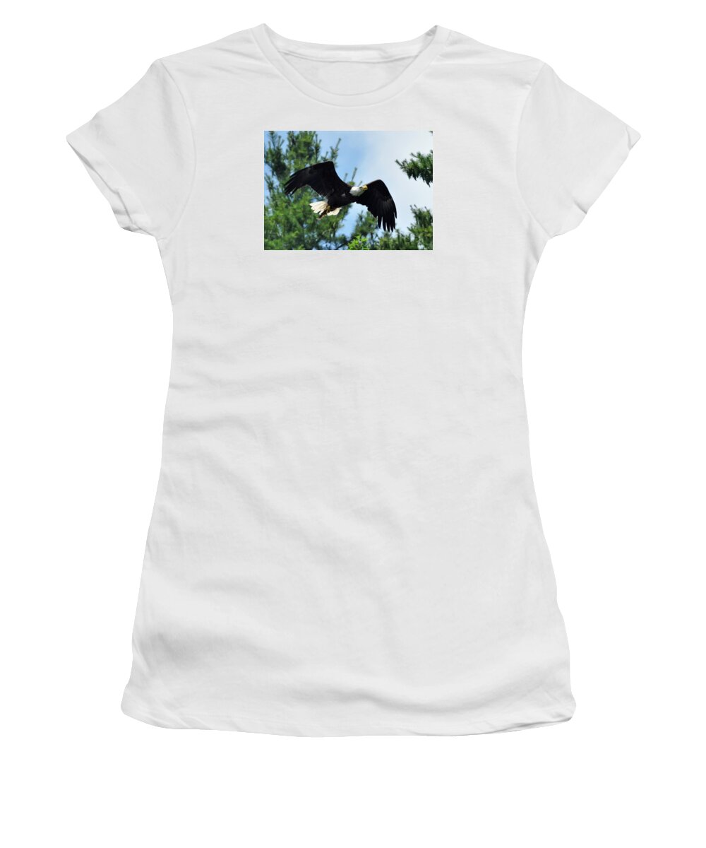 Bald Eagle Women's T-Shirt featuring the photograph Bald Eagle Feeding 2 by Glenn Gordon