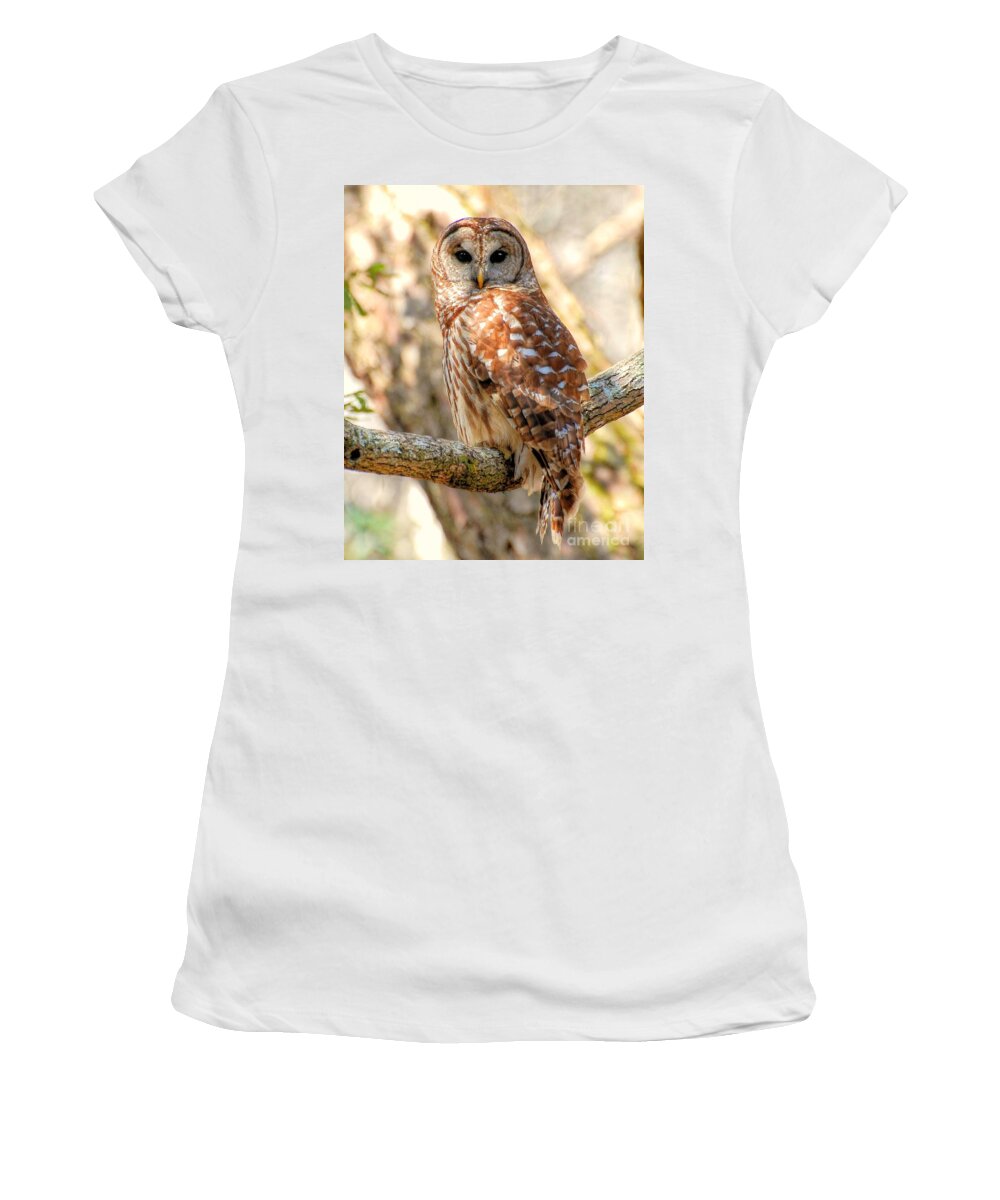 Birds Women's T-Shirt featuring the photograph Barred Owl by Kathy Baccari