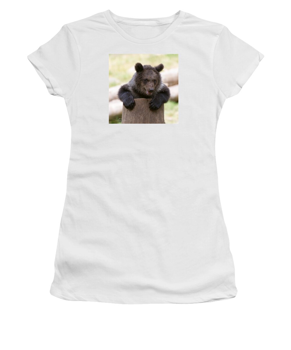 Bear Cub Women's T-Shirt featuring the photograph Bear Cub by Torbjorn Swenelius