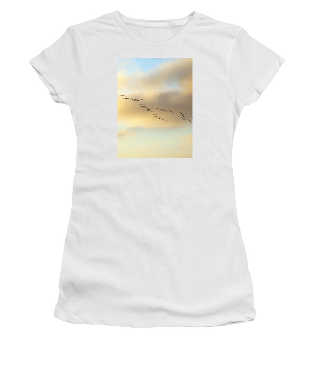 Sunset Women's T-Shirt featuring the photograph Because We Can by Joe Schofield