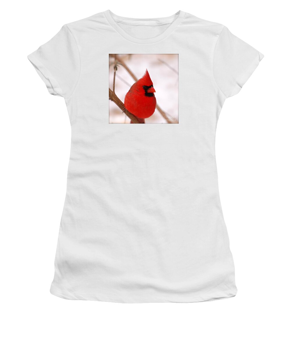 Northern Cardinal Women's T-Shirt featuring the photograph Big Red Cardinal Bird In Snow by Peggy Franz