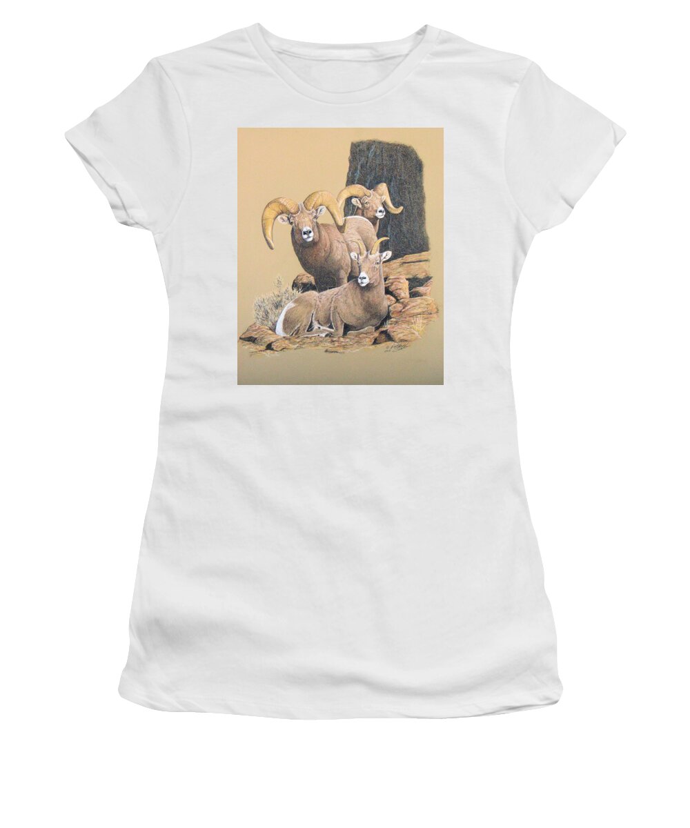 Bighorn Women's T-Shirt featuring the painting Bighorn Sheep by Darcy Tate