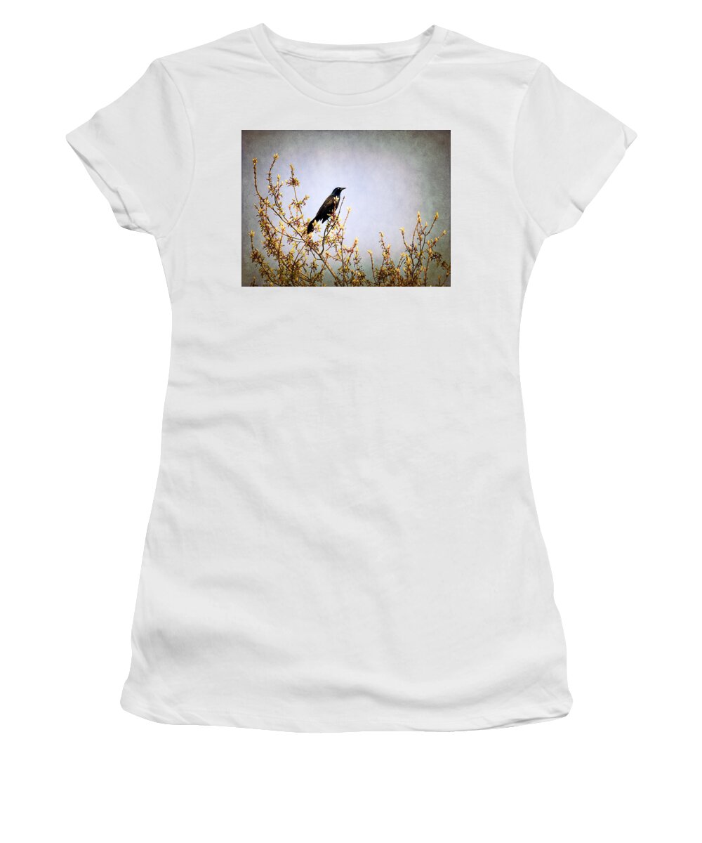 Bird Women's T-Shirt featuring the photograph Bird on a tree by Milena Ilieva
