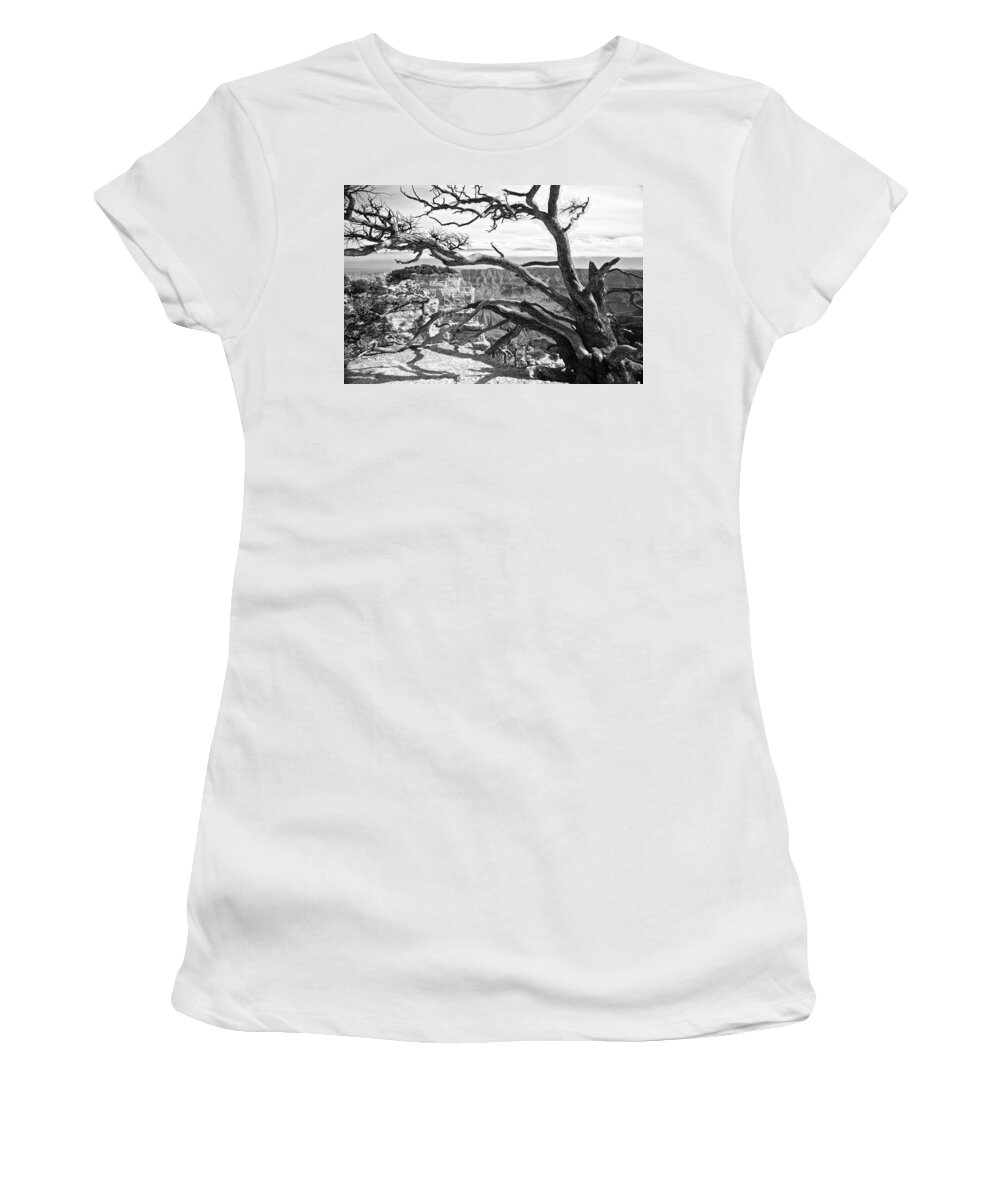 Landscape Women's T-Shirt featuring the photograph Branches by Richard Gehlbach