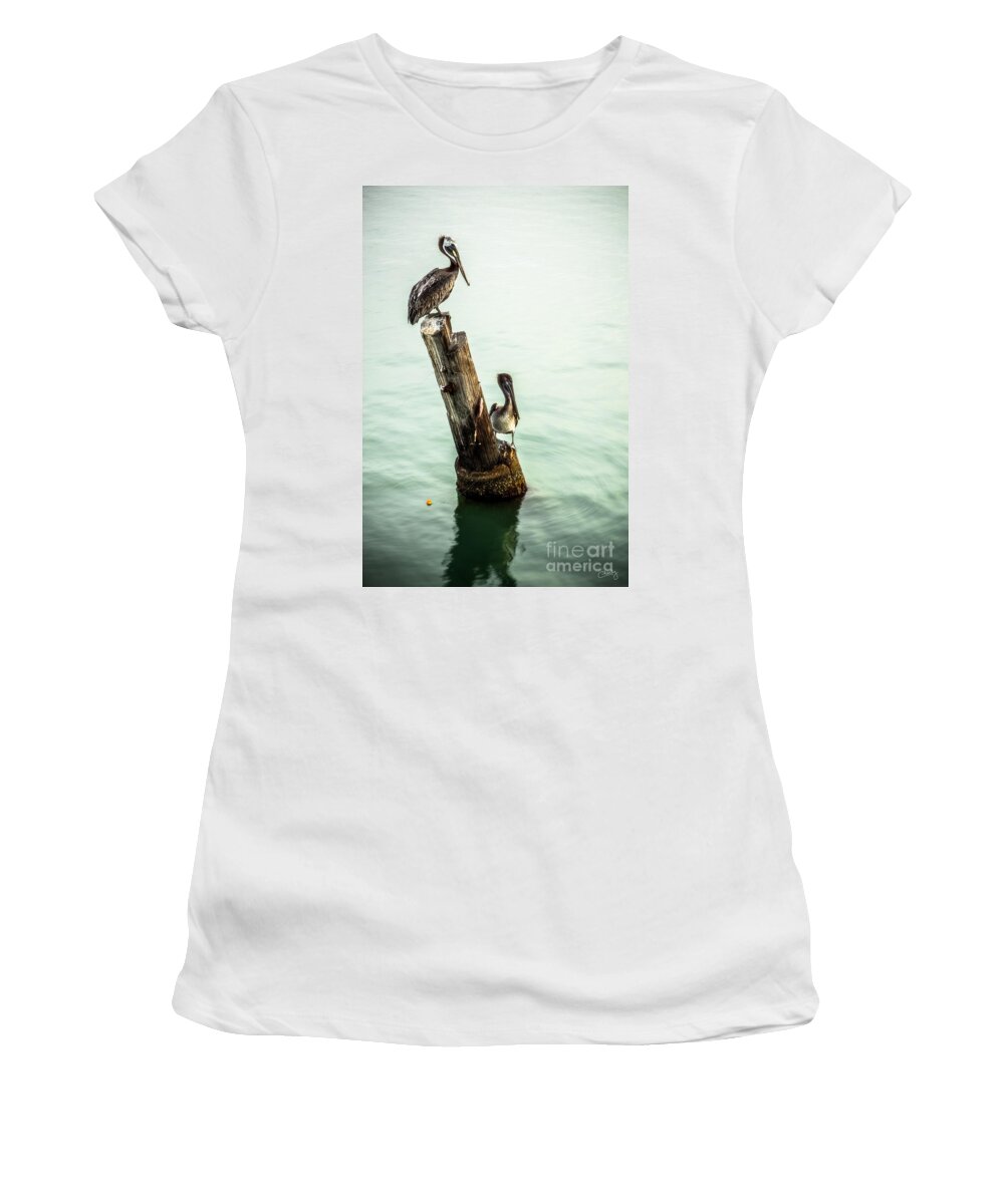 Brown Pelicans Women's T-Shirt featuring the photograph Brown Pelicans by Imagery by Charly