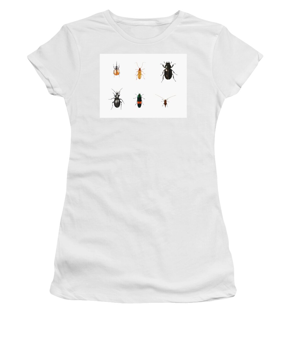 Bugs Women's T-Shirt featuring the painting Bugs by Ele Grafton