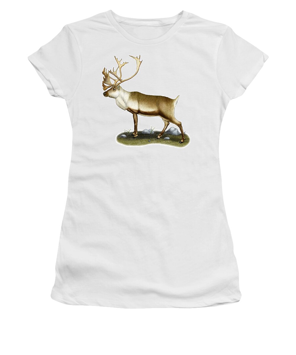 Mammal Women's T-Shirt featuring the photograph Caribou by Roger Hall