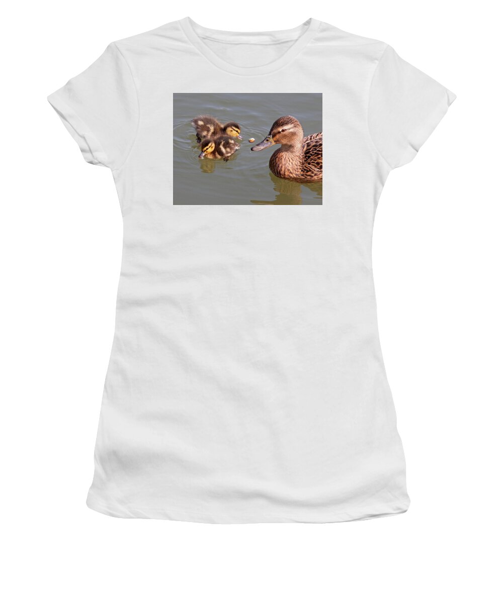 Ducklings Women's T-Shirt featuring the photograph Catch by Gill Billington