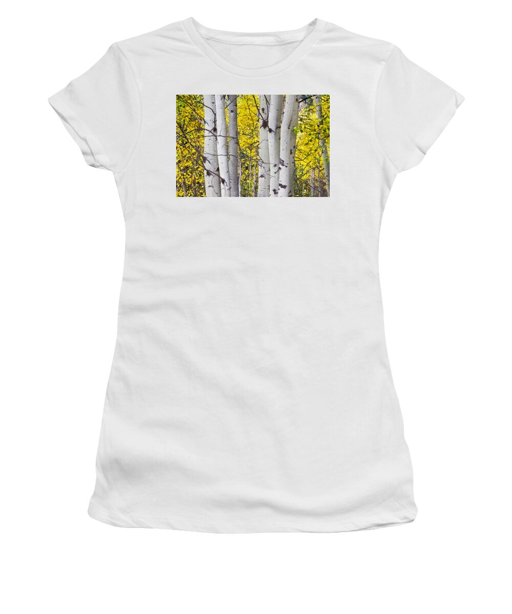 Aspen Women's T-Shirt featuring the photograph Colorful Autumn Aspen Tree Colonies by James BO Insogna