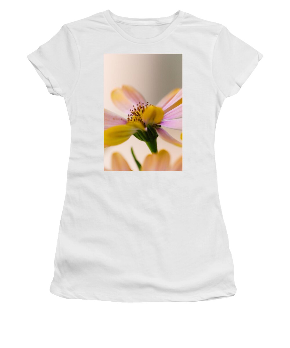 Spring Women's T-Shirt featuring the photograph Come Softly Spring by Debbie Karnes