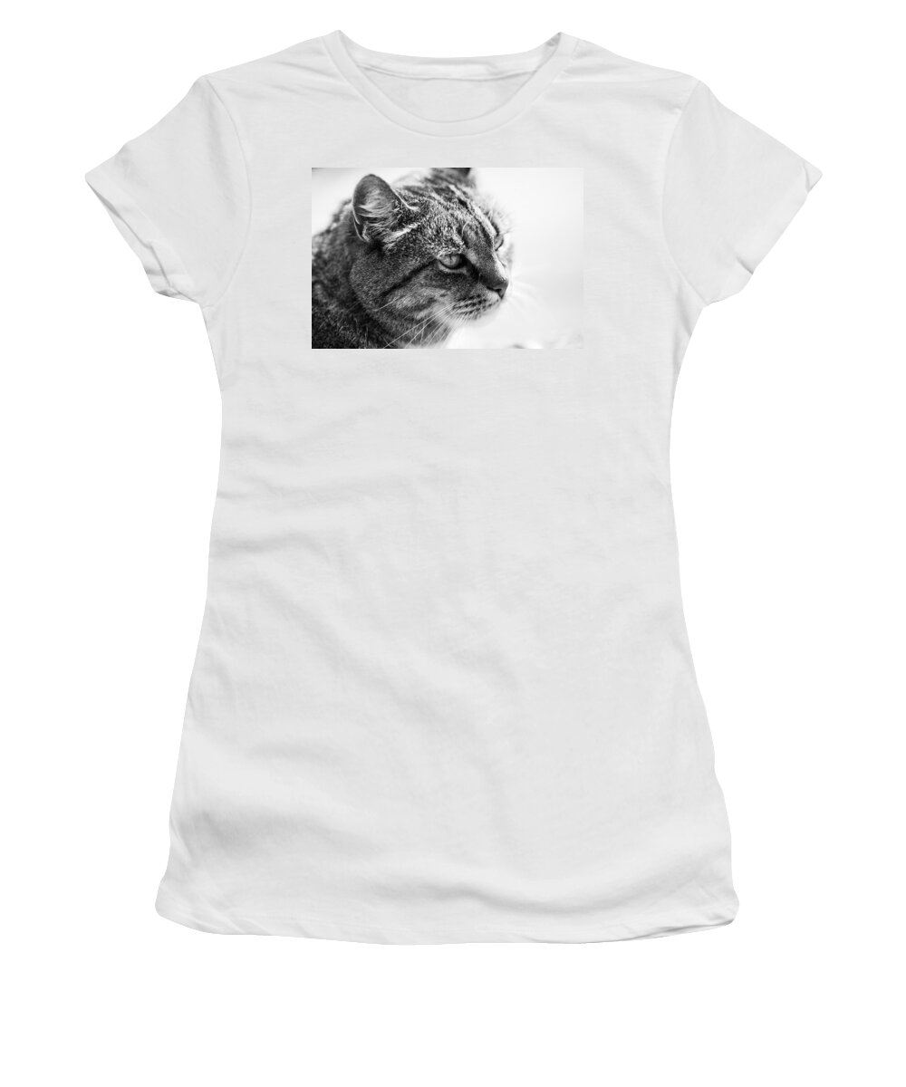 Cat Women's T-Shirt featuring the photograph Concentrating Cat by Hakon Soreide