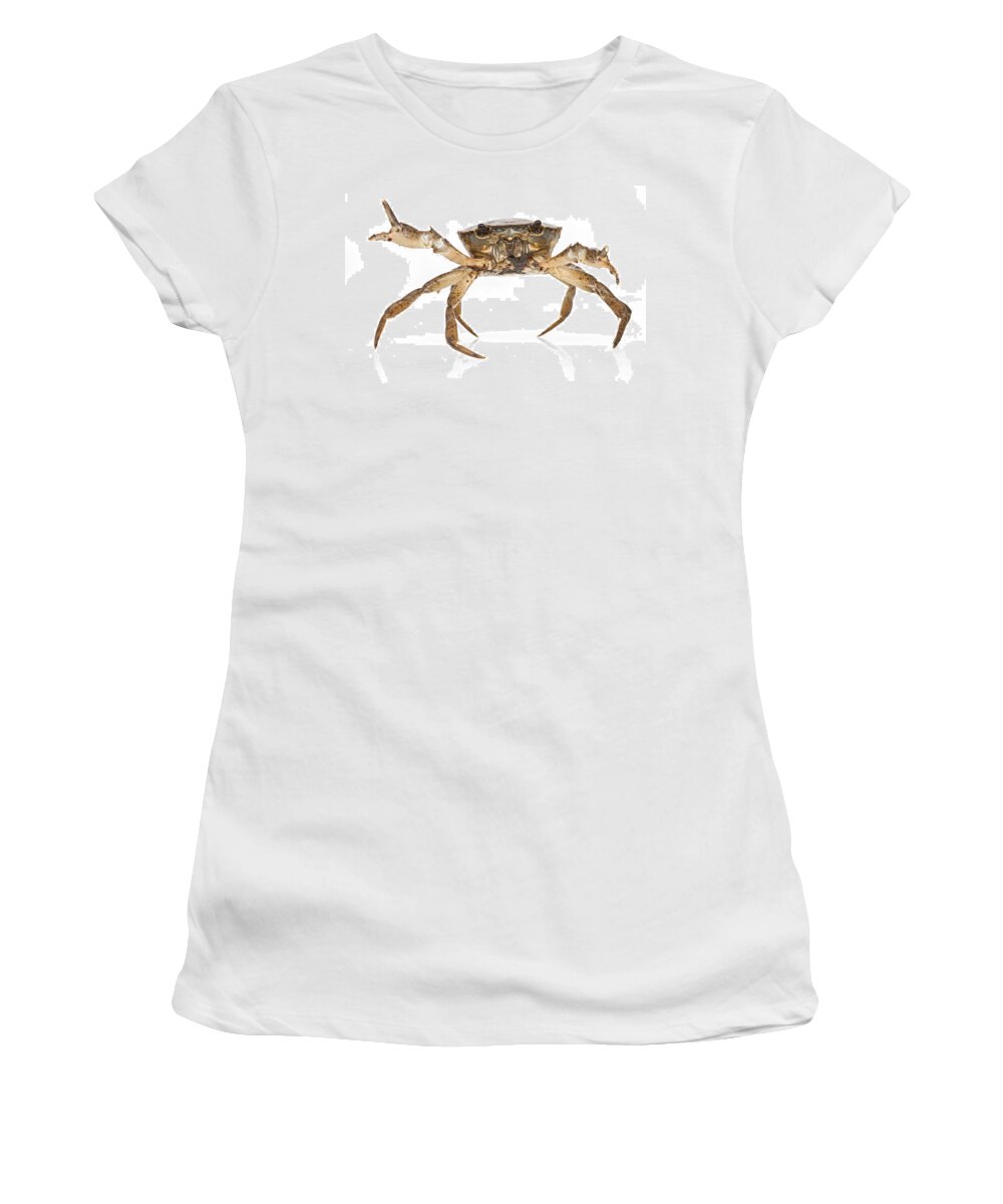 Feb0514 Women's T-Shirt featuring the photograph Crab Suriname by Piotr Naskrecki