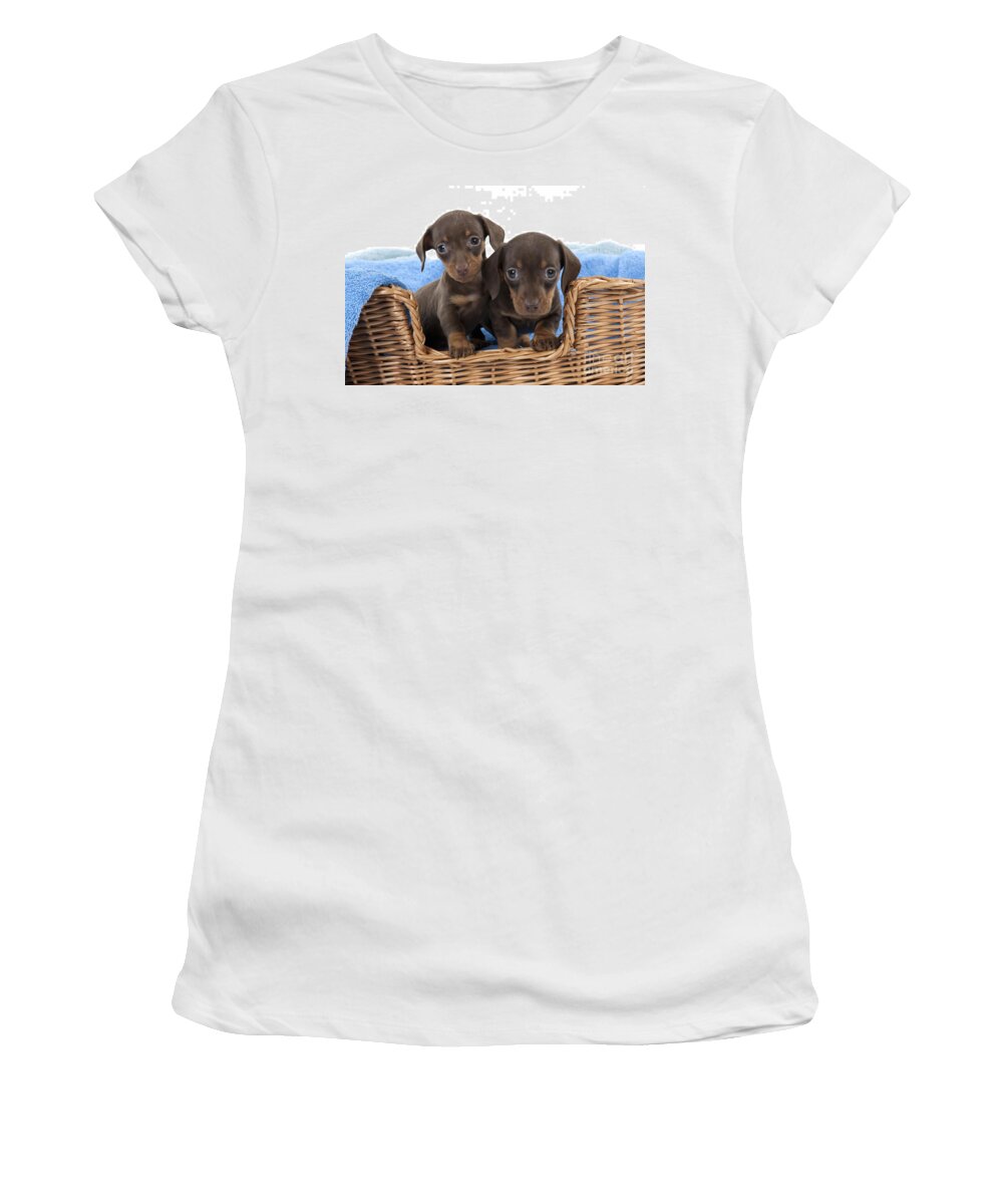 Dachshund Women's T-Shirt featuring the photograph Dachshund Puppy Dogs by John Daniels
