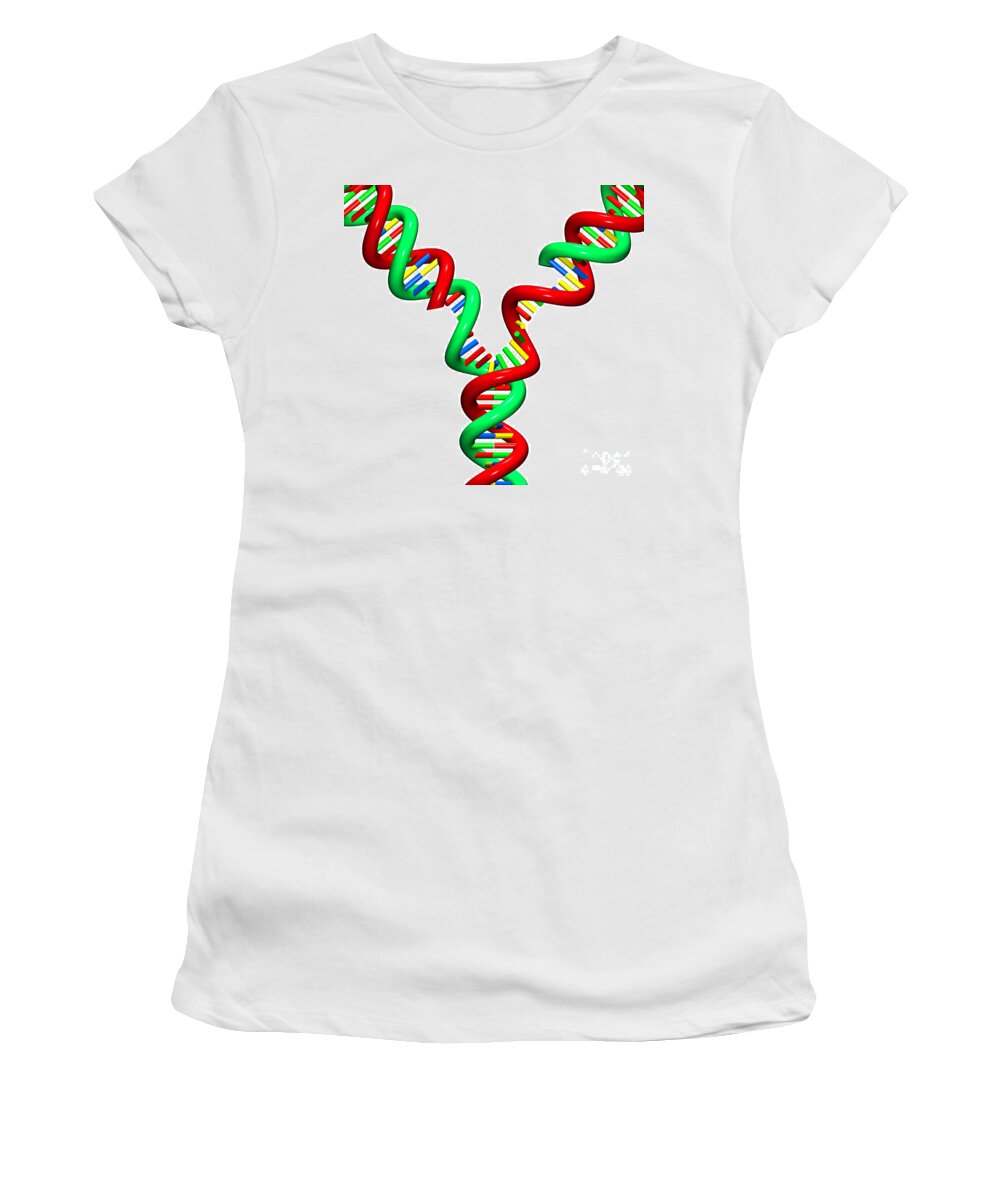  Women's T-Shirt featuring the digital art DNA Replication Fork 10 by Russell Kightley