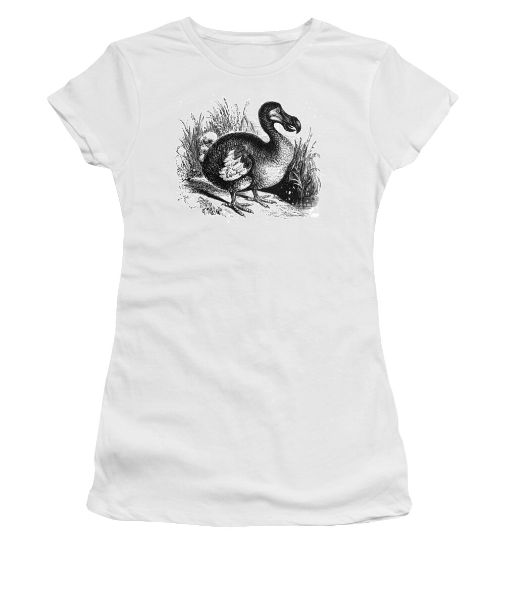 Dodo Women's T-Shirt featuring the photograph Dodo, Extinct Flightless Bird by Science Source