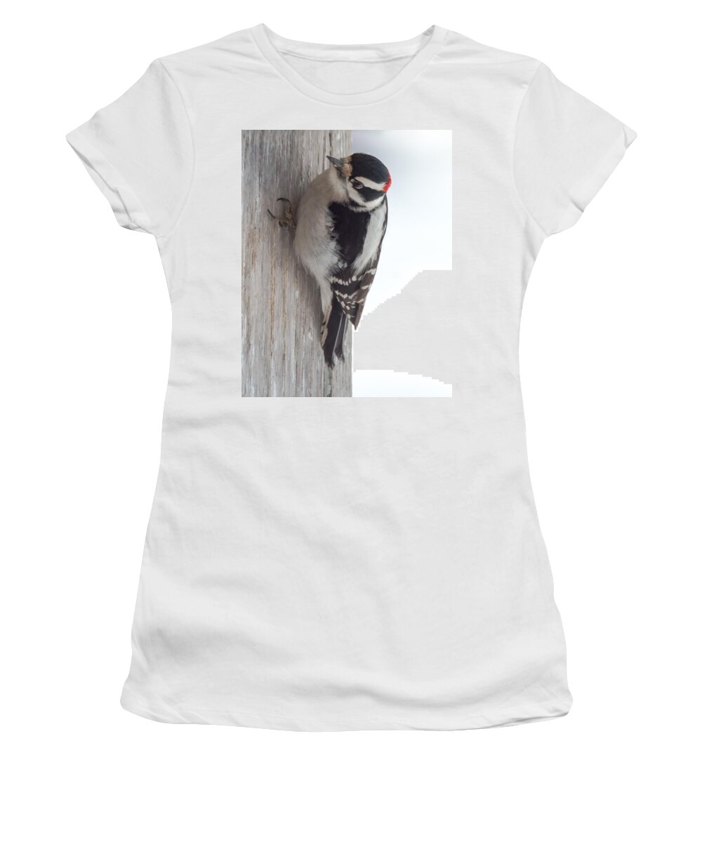 Downy Women's T-Shirt featuring the photograph Downy Woodpecker by Holden The Moment