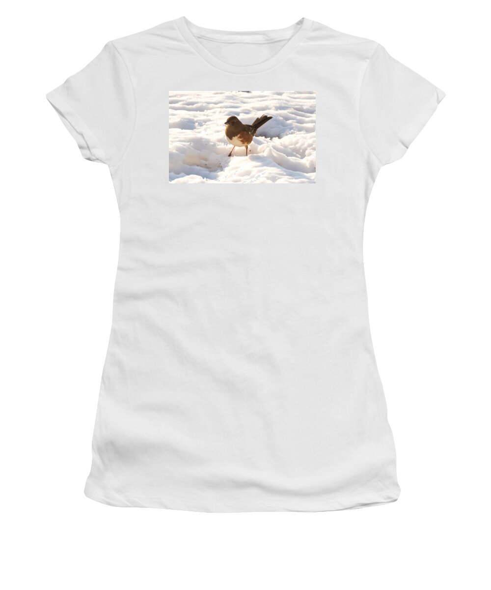 Snow Women's T-Shirt featuring the photograph Eastern Towhee  by Holden The Moment