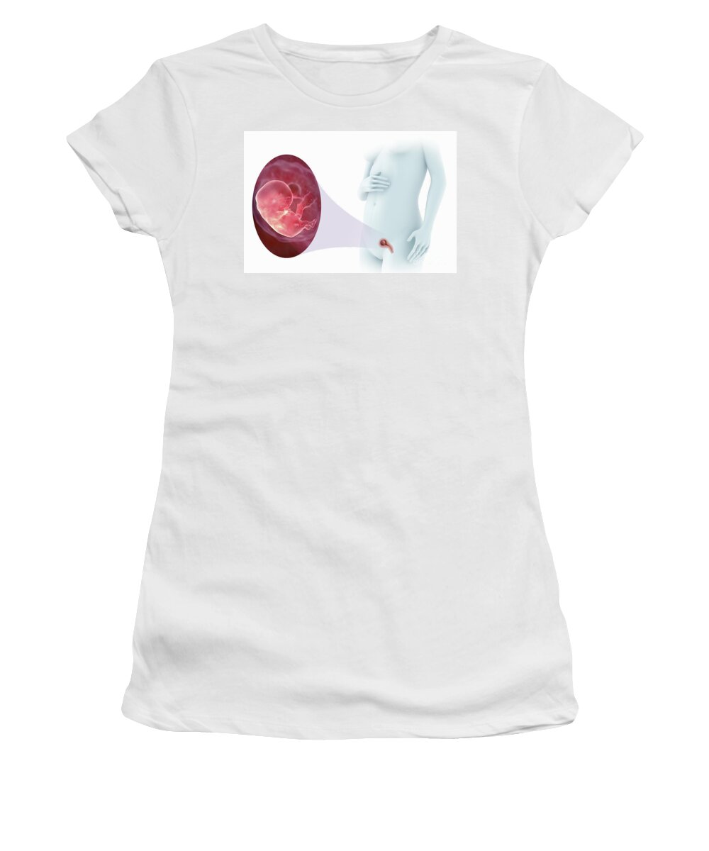 Pregnant Women's T-Shirt featuring the photograph Embryo Development Week 9 by Science Picture Co