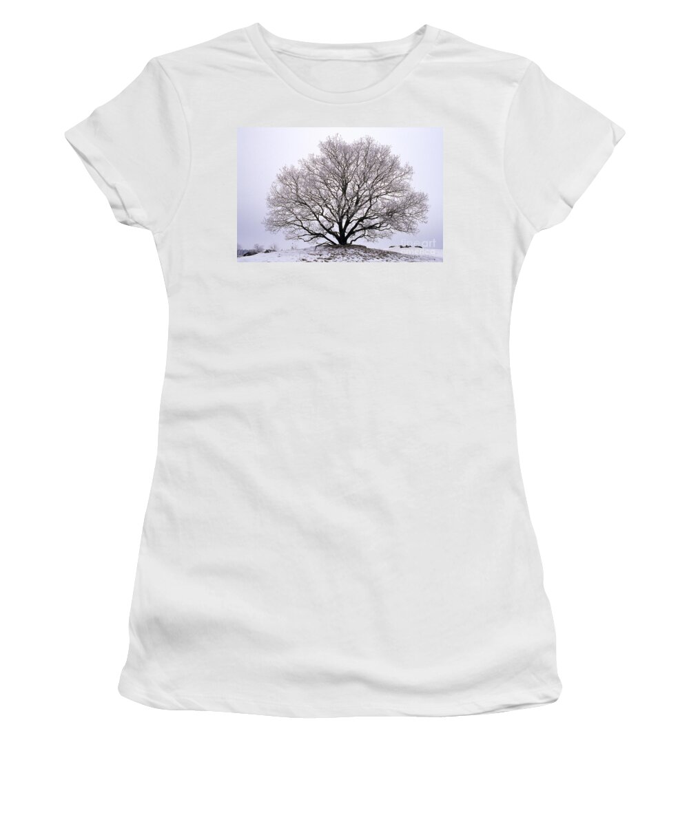 Mp Women's T-Shirt featuring the photograph English Oak In Winter by Flip de Nooyer