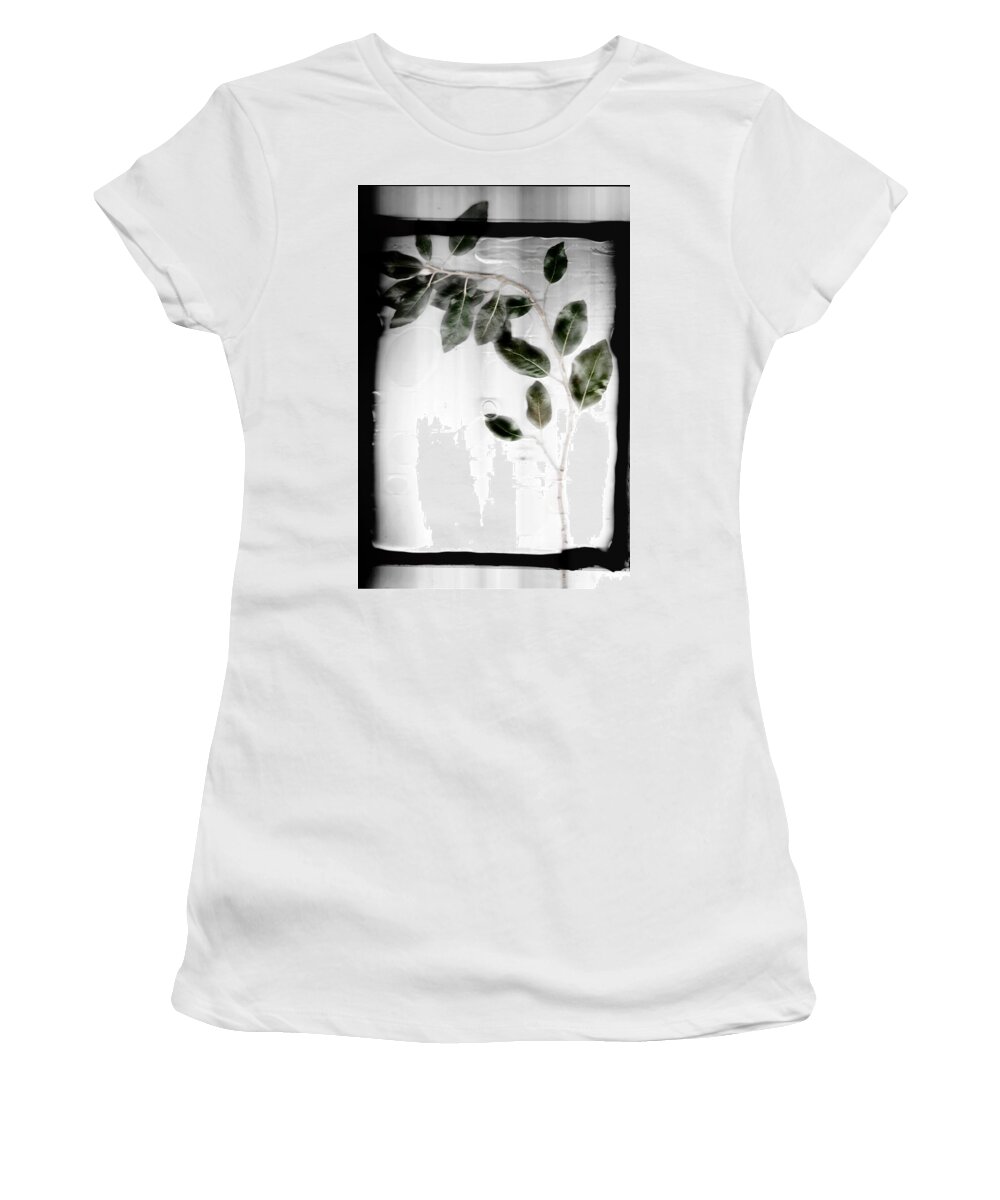 Tree Women's T-Shirt featuring the photograph Erase by Mark Ross