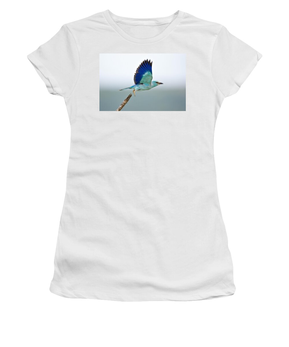Action Women's T-Shirt featuring the photograph Eurasian Roller by Johan Swanepoel