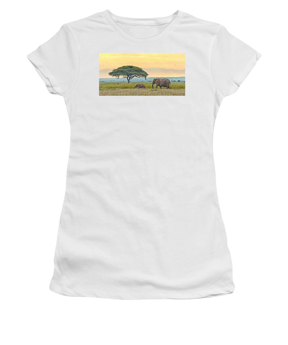 Nature Women's T-Shirt featuring the photograph Evening Walk by Claudio Bacinello