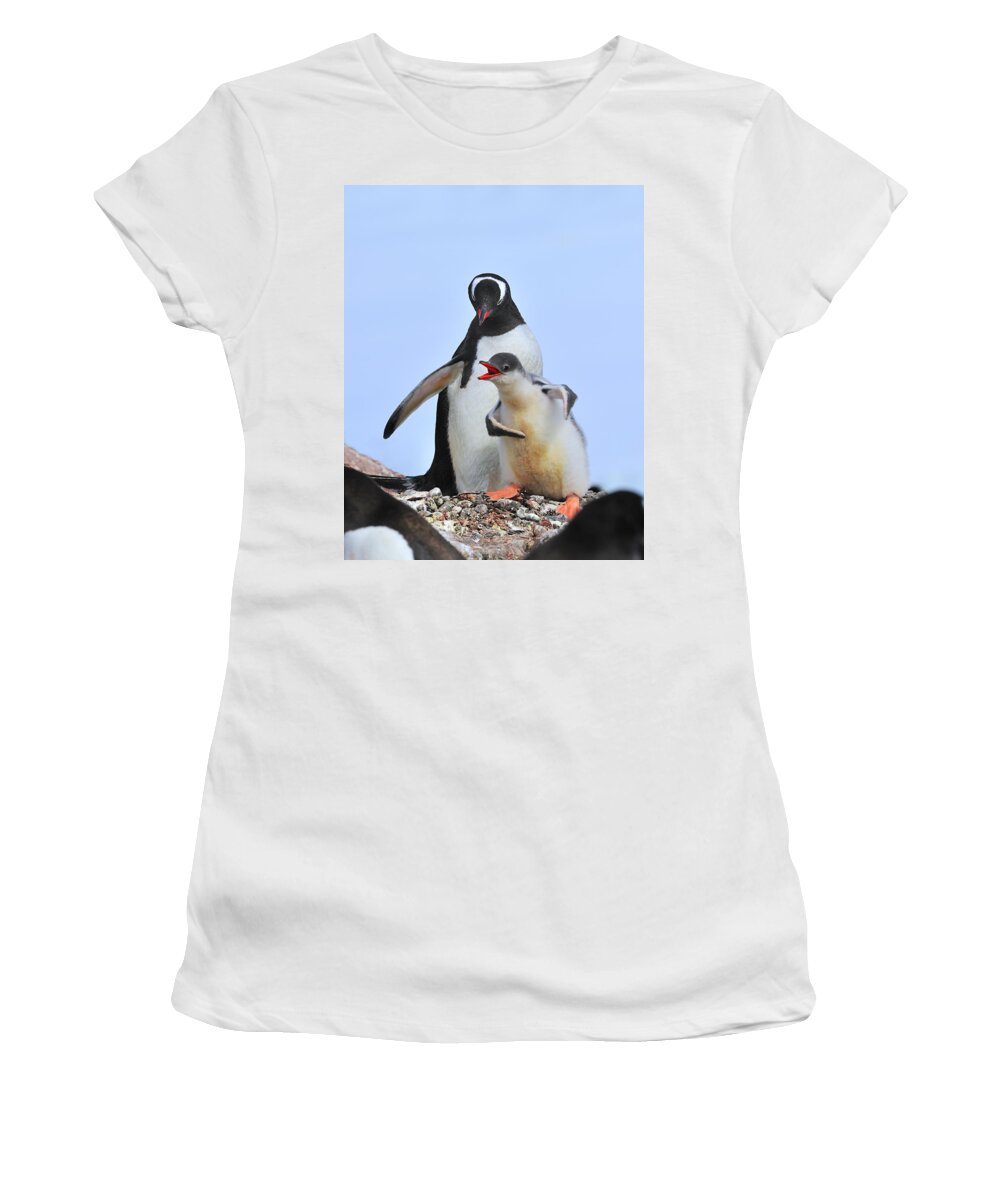 Gentoo Penguin Women's T-Shirt featuring the photograph Flipper Flexing by Tony Beck