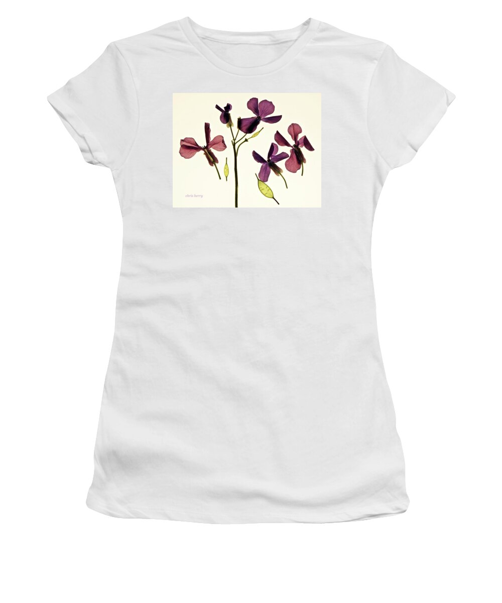 Flowers Women's T-Shirt featuring the photograph Money Plant by Chris Berry