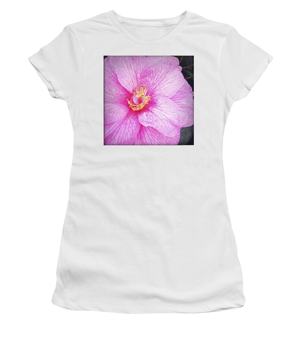 Flower Women's T-Shirt featuring the photograph Flower by Les Cunliffe