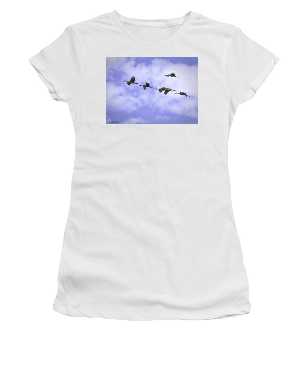 Birds Women's T-Shirt featuring the photograph Flying in Formation by Fran Gallogly